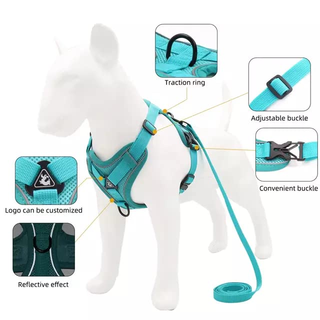 BLACKDOG Harness with Leash for Small Dog