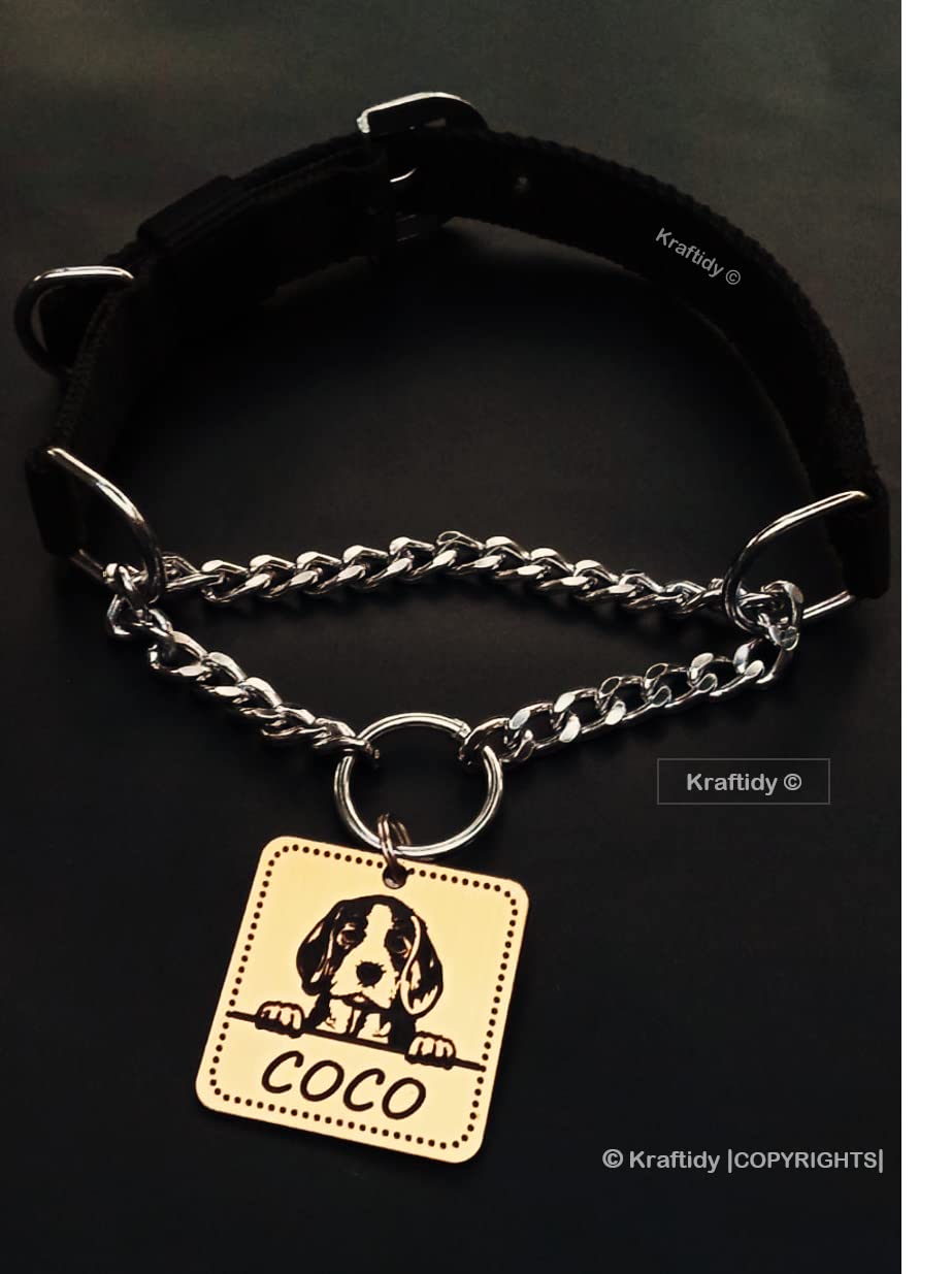 Dog Collar Chain Belt with Name tag id Customized for Large Medium Dogs and Small Puppies Neck Collar Chain