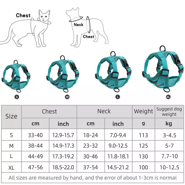 BLACKDOG Harness with Leash for Small Dog
