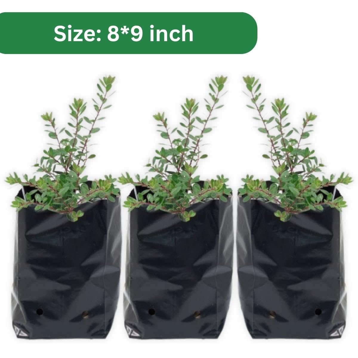 Nursery Bags