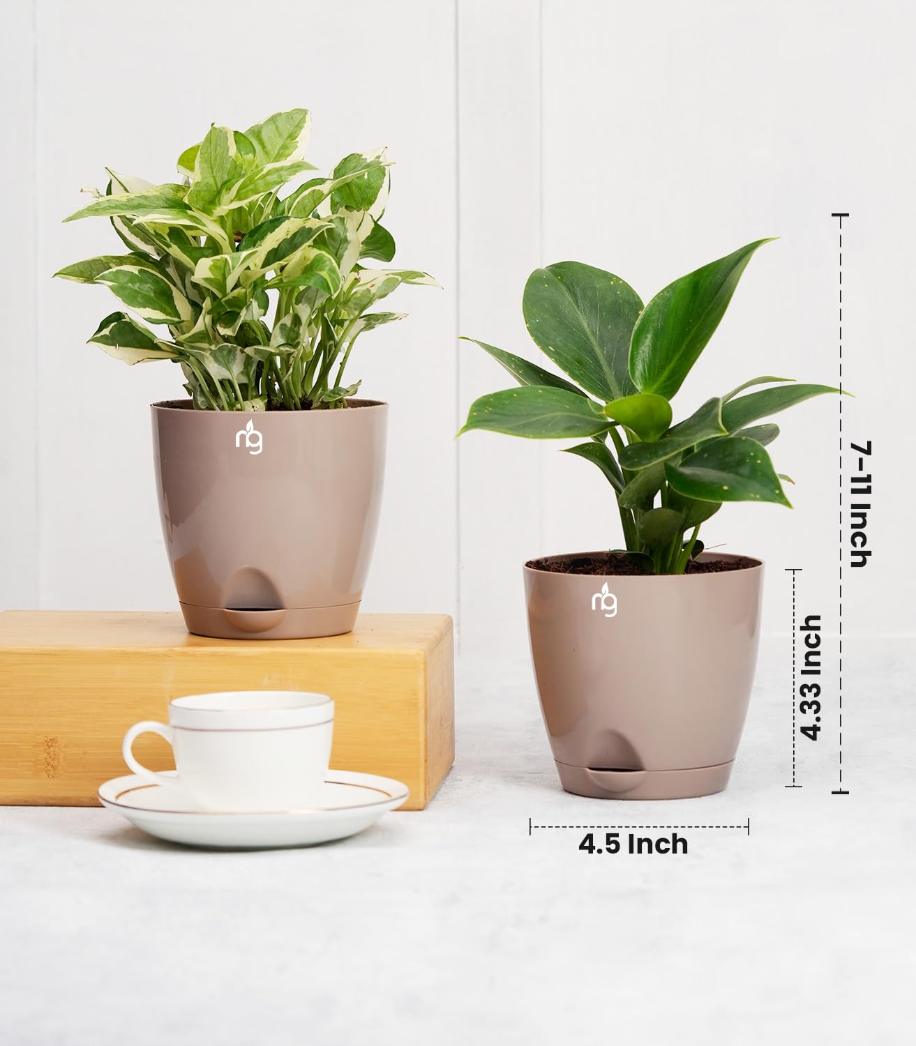 Mocha Self Watering Pot