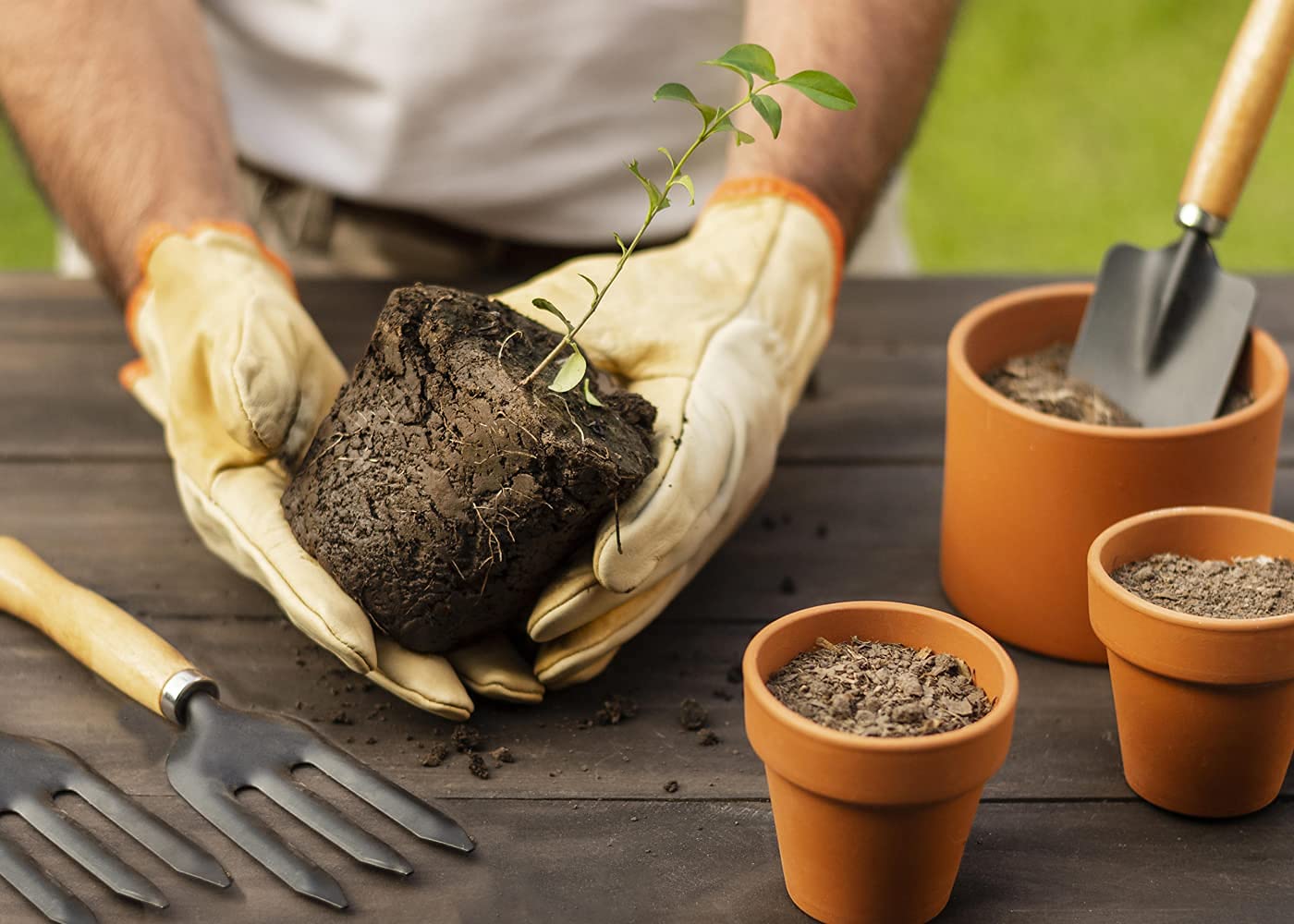 Gardening Tools