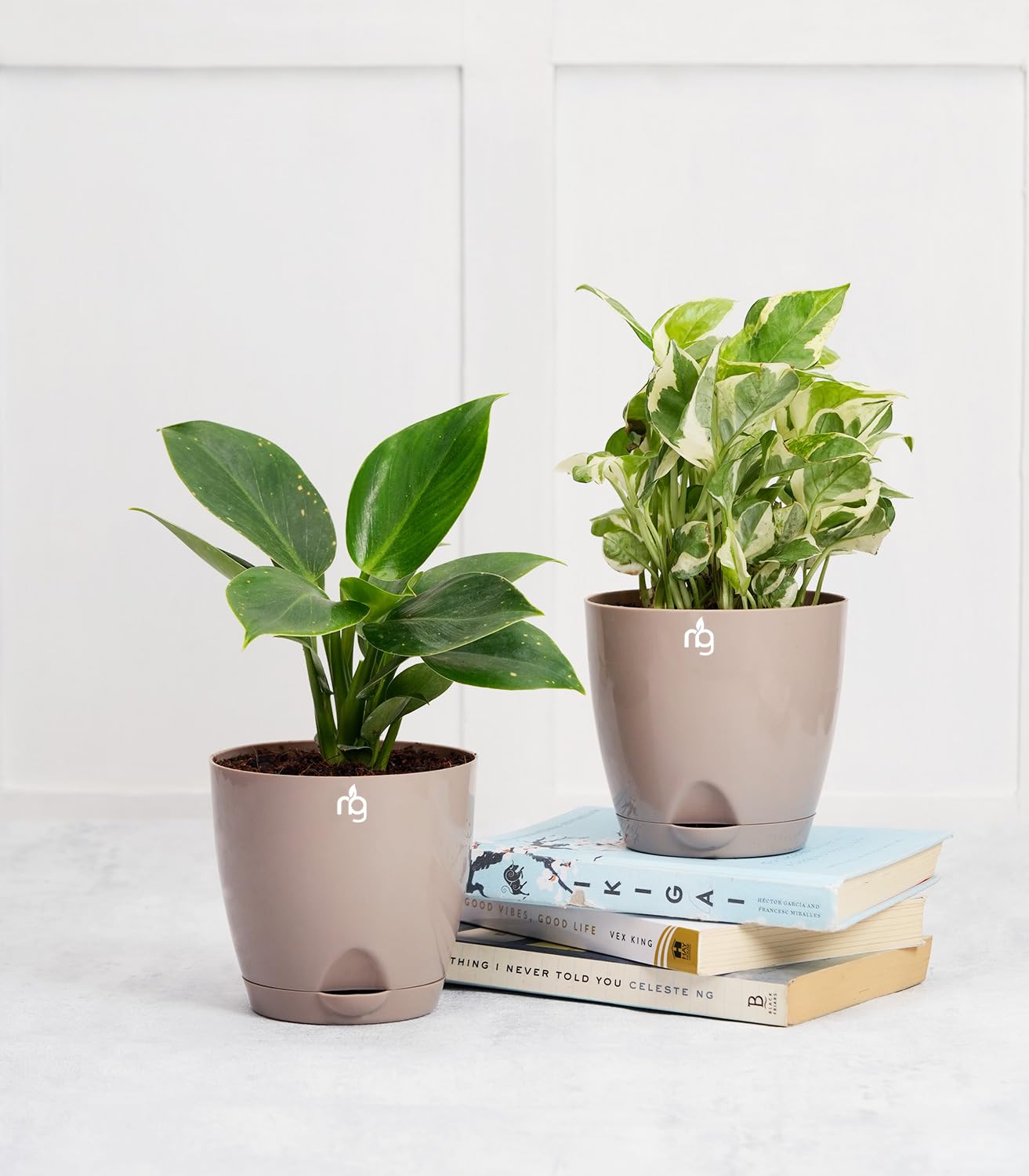 Mocha Self Watering Pot