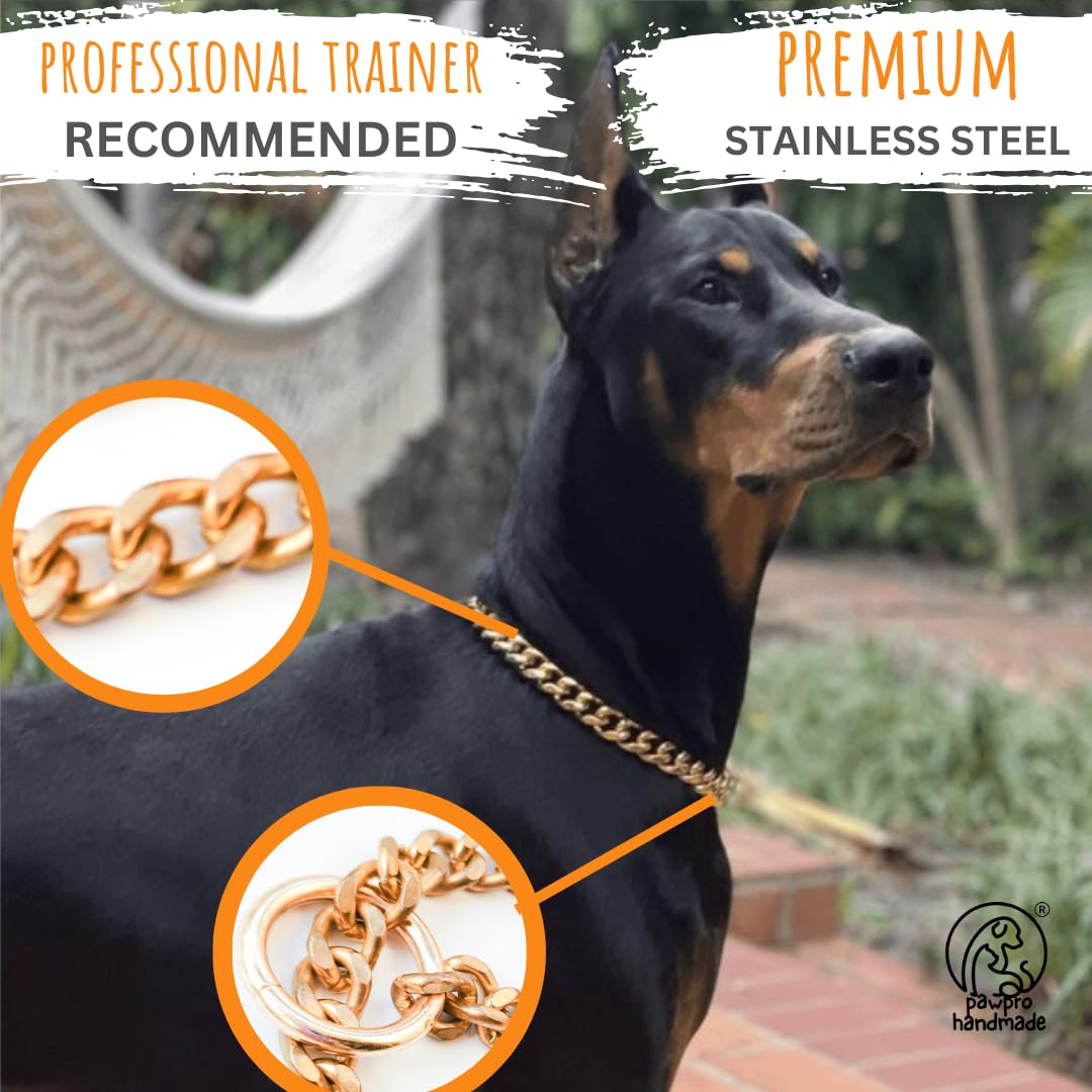 Personalized Gold Chain Collar