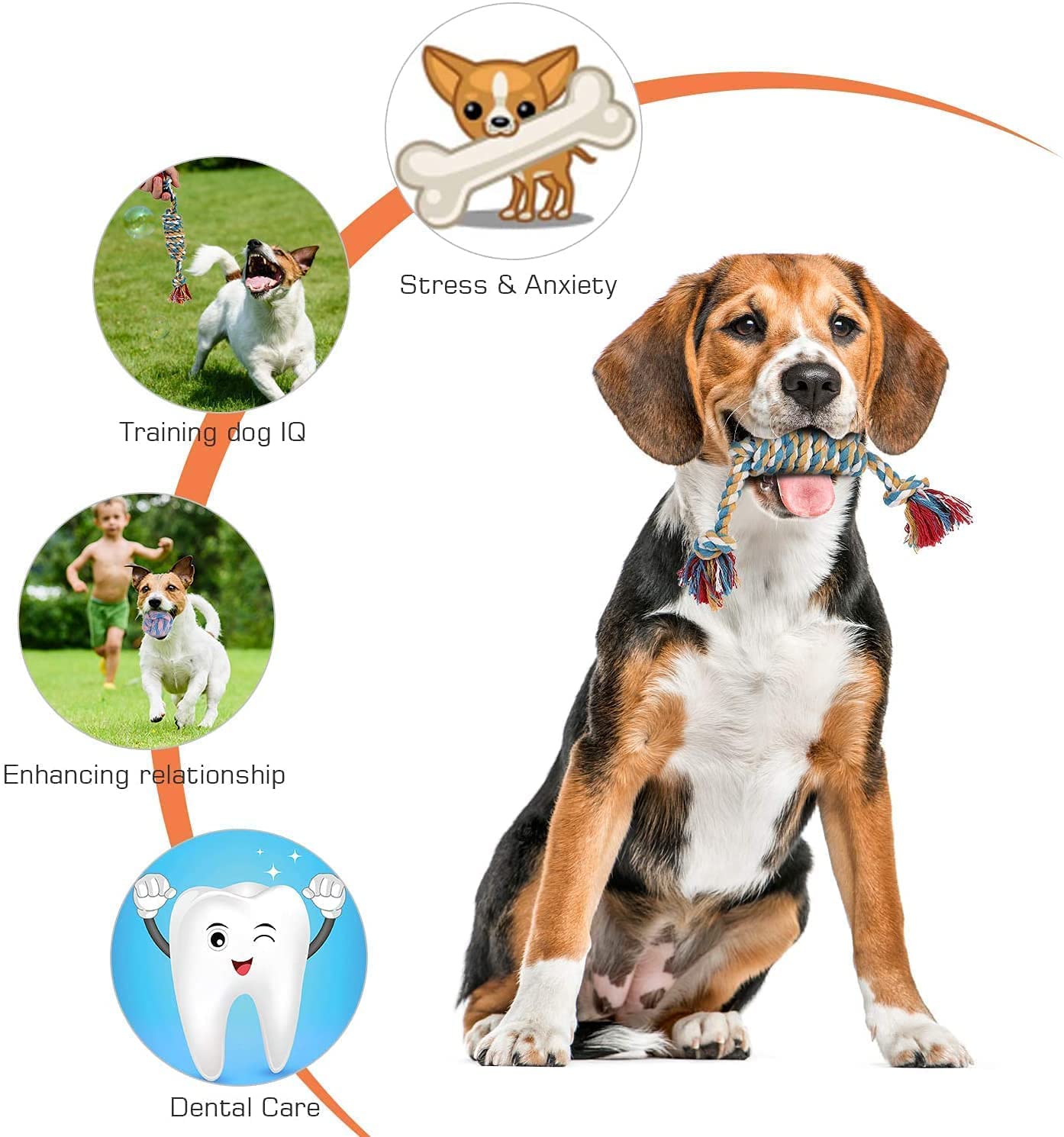 Agirav Dog Rope Toys + Dog Toys + Chew Toys + Toys for Puppy + Chew Hard Spike Bone for Dog + Dog Cotton + Poly Mix Chew Toys, Combo Pack of 7 (Color May Vary)