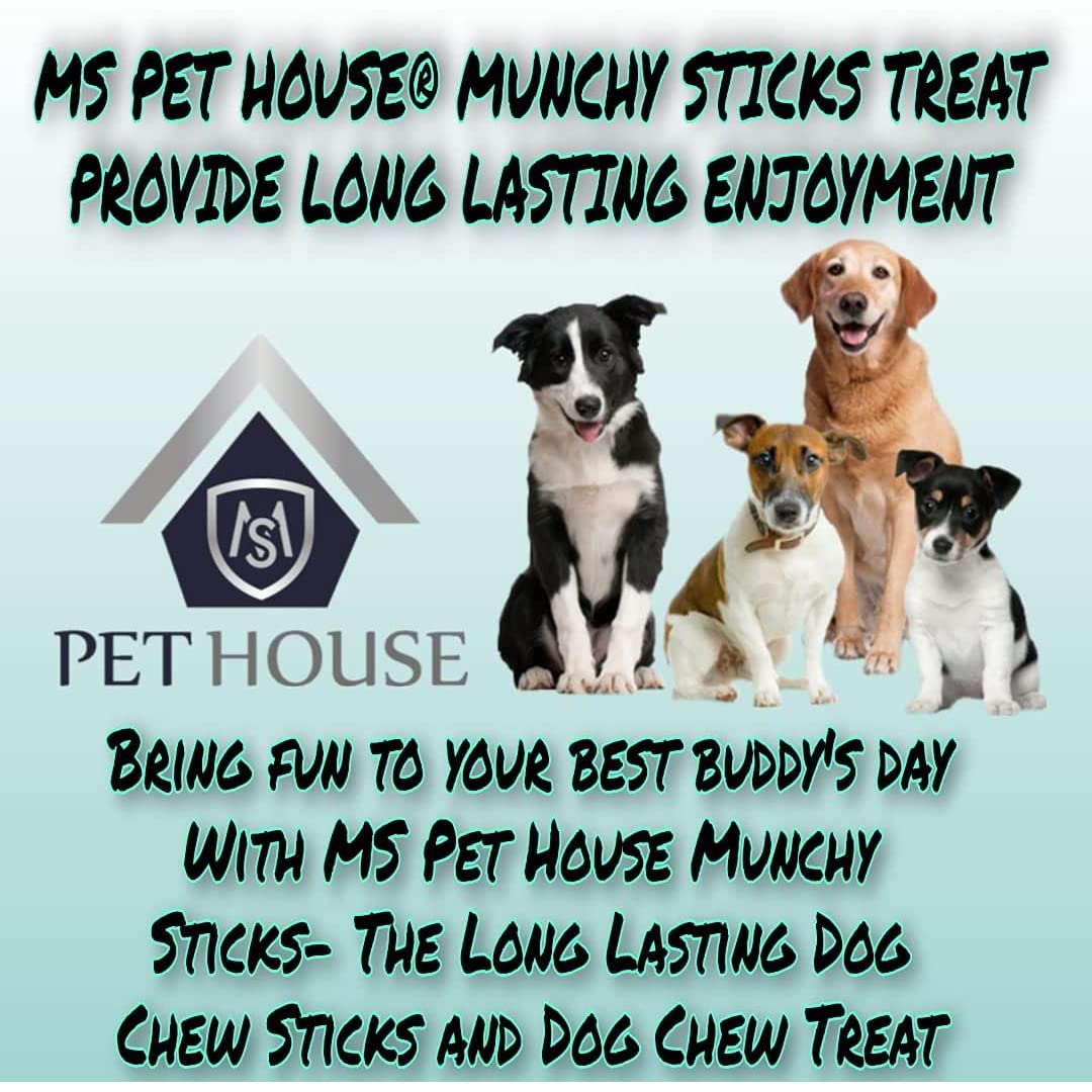 Dog Chew Sticks Munchy Stick Mix Flavours 900 Gram Dogs Snacks, Treats (450G Chicken Flavor and 450G Mutton