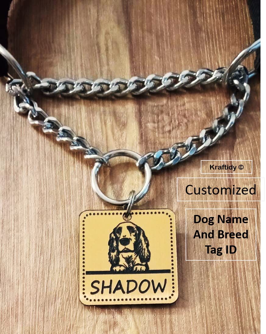 Dog Collar Chain Belt with Name tag id Customized for Large Medium Dogs and Small Puppies Neck Collar Chain