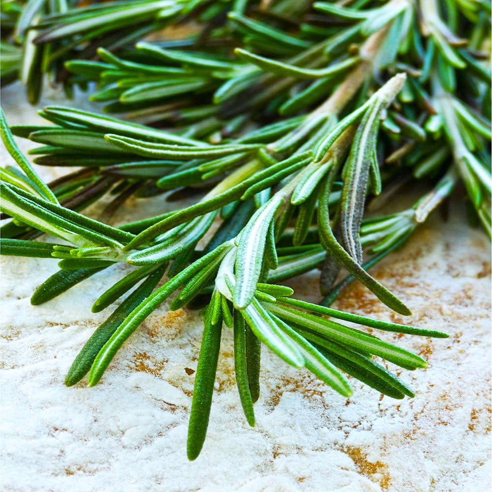 Rosemary Seeds