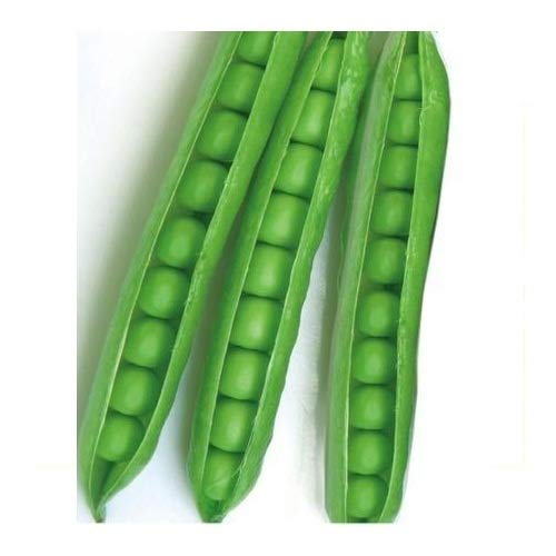 Peas Seeds