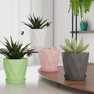 Round Flower Pots