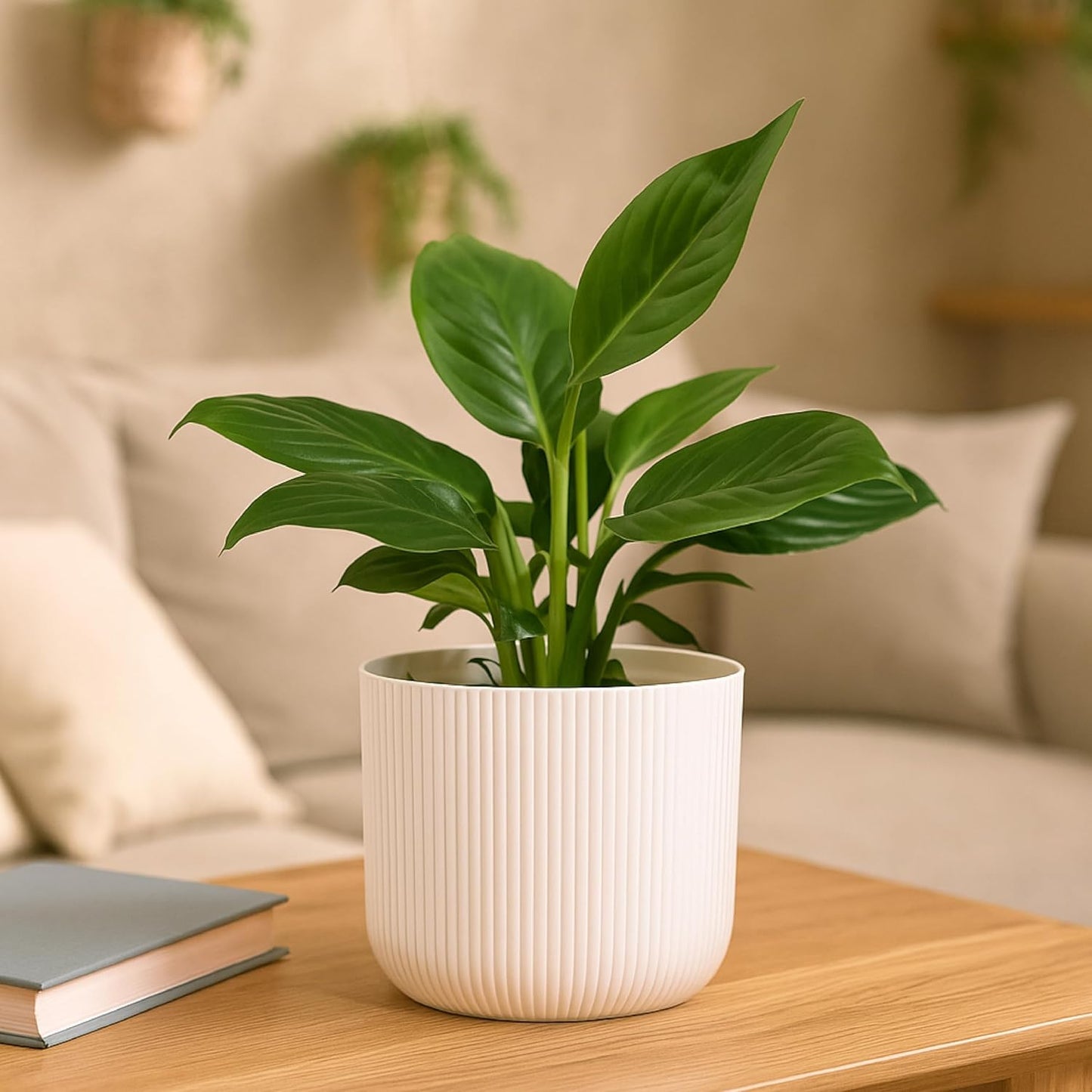 UGAOO Peace Lily Plant in White Ibiza Pot