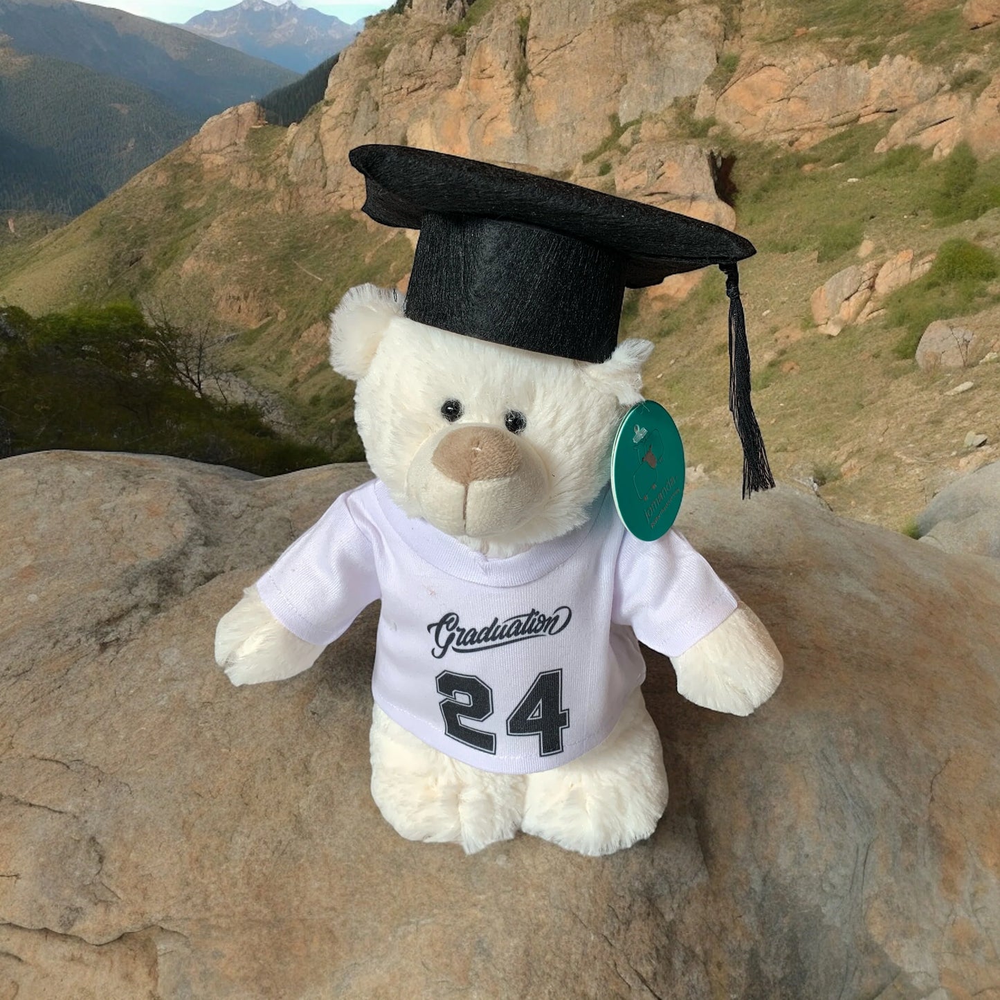 Clan Artisan Graduation Soft Toys