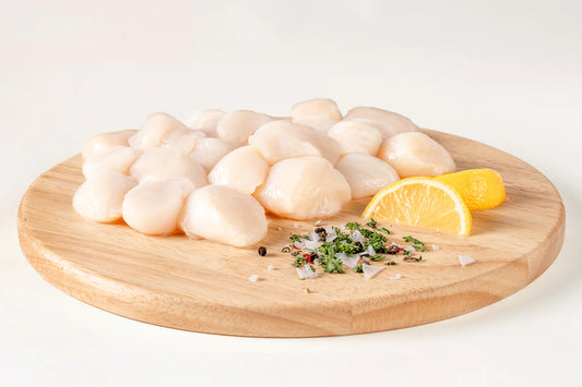 Sea Scallops